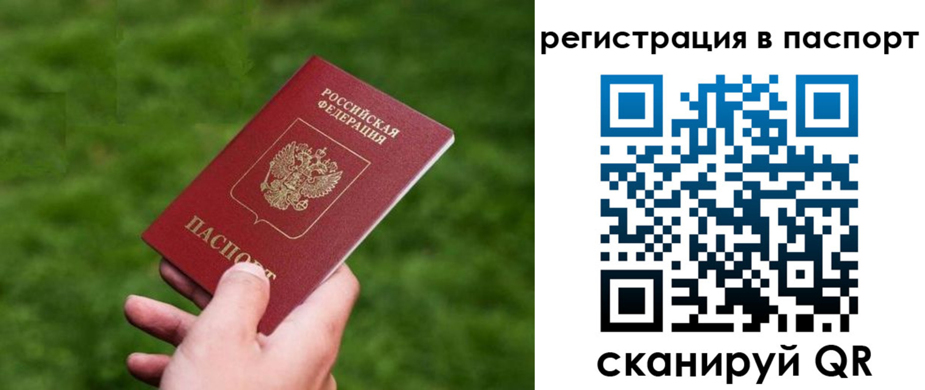 пропишу в квартире в Сосновом Бору